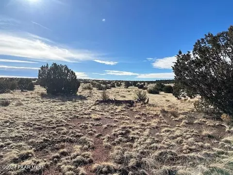 310 NW Dusty Rose Rd, Seligman, AZ 86337