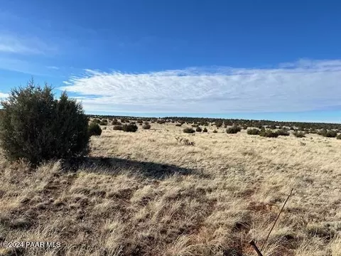 310 NE Dusty Rose Rd, Seligman, AZ 86337