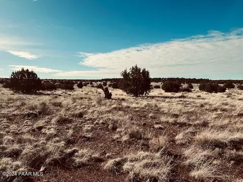 310 SE Dusty Rose Rd, Seligman, AZ 86337
