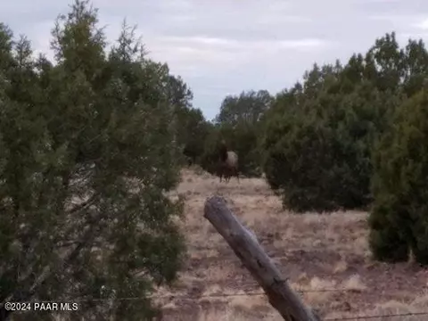 245 Noseeum Rd, Ash Fork, AZ 86320 photo 3