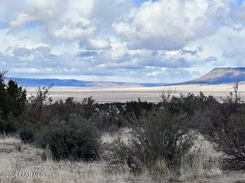 58299 N Bridge Canyon Pkwy, Seligman, AZ 86337