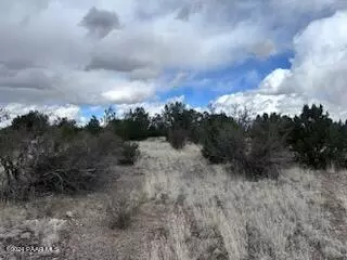 58329 N Bridge Canyon Pkwy, Seligman, AZ 86337