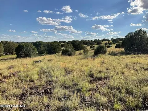65 SE Rawhide Rnch # C, Ash Fork, AZ 86320 photo 8