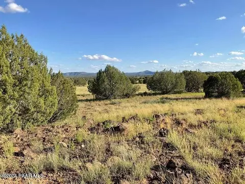 65 SE Rawhide Rnch # C, Ash Fork, AZ 86320 photo 2