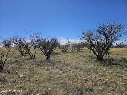 1686 Trampa Ct, Rio Rico, AZ 85648