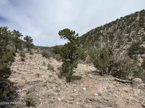 429 Wrong Way, Ash Fork, AZ 86320 photo 9