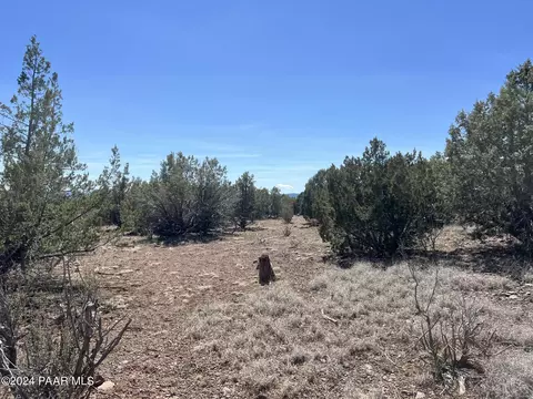88 Rose Ln, Ash Fork, AZ 86320 photo 3