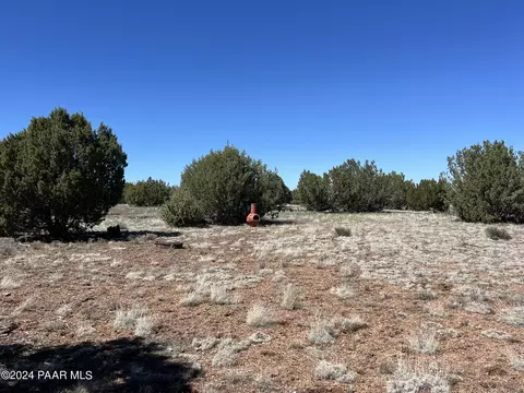 204 Abandoned Trl, Ash Fork, AZ 86320 photo 9