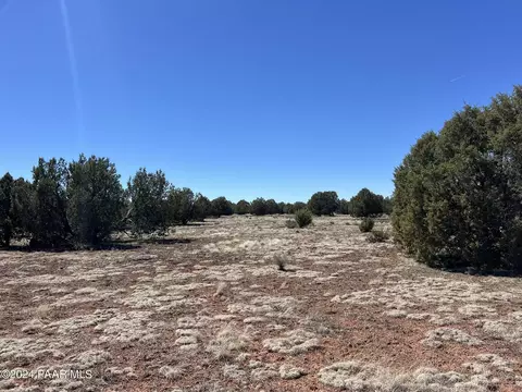 204 Abandoned Trl, Ash Fork, AZ 86320 photo 3