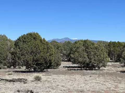 204 Abandoned Trl, Ash Fork, AZ 86320 photo 5
