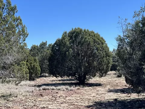 204 Abandoned Trl, Ash Fork, AZ 86320