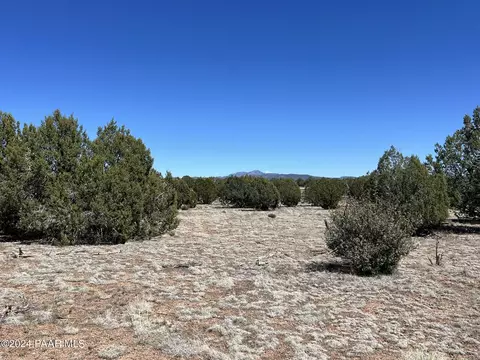 204 Abandoned Trl, Ash Fork, AZ 86320 photo 8