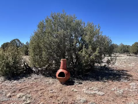 204 Abandoned Trl, Ash Fork, AZ 86320 photo 6
