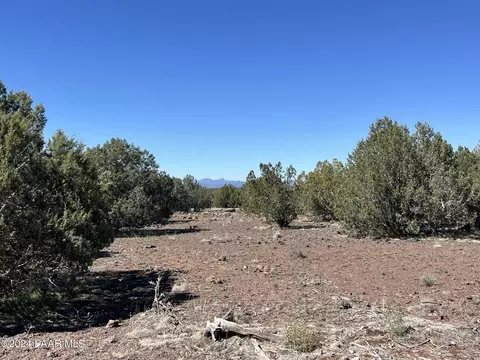 211 W Rut Rd, Ash Fork, AZ 86320 photo 3
