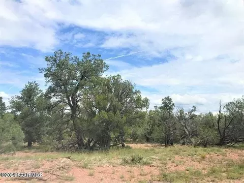 Other - 182 NE Cooks Trl, Ash Fork, AZ 86320 photo 12 of 14