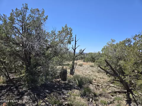 121 Acres Juniper Vis, Ash Fork, AZ 86320 photo 10