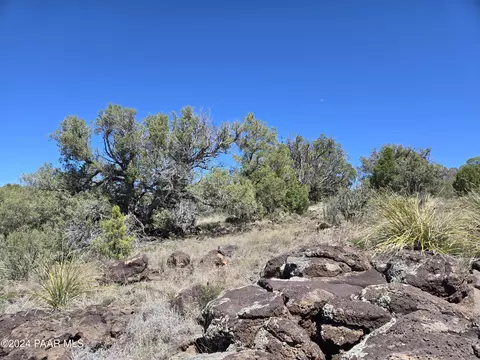 121 Acres Juniper Vis, Ash Fork, AZ 86320 photo 22