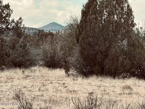 0 301-31-453ne Deliverance Rd, Seligman, AZ 86337