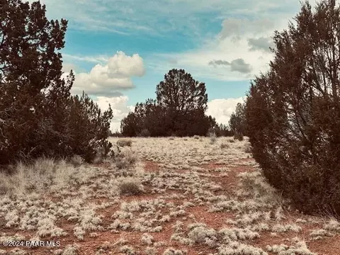 0 301-31-453se Deliverance Rd, Seligman, AZ 86337