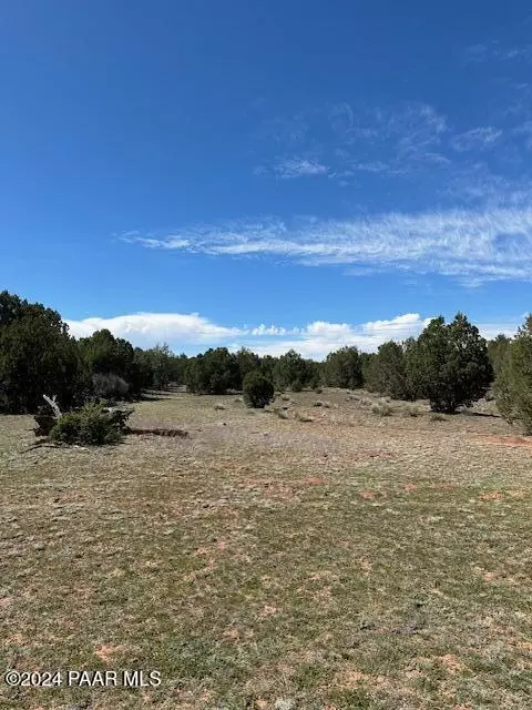 110 Rattlesnake # A, Ash Fork, AZ 86320 photo 8