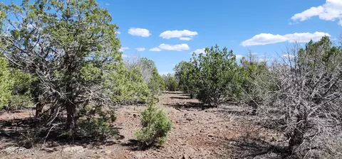3345 W Gary Cir, Ash Fork, AZ 86320 photo 5