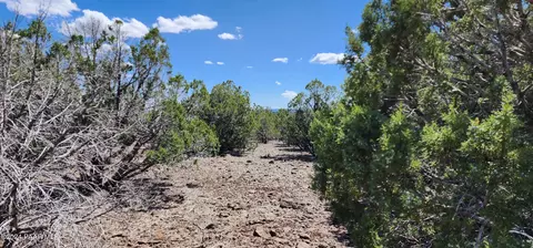 3345 W Gary Cir, Ash Fork, AZ 86320 photo 6