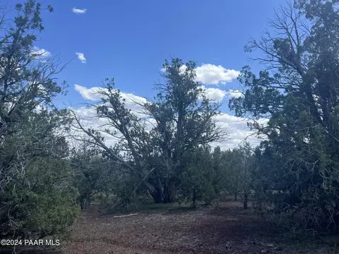89 Als Way, Ash Fork, AZ 86320 photo 8