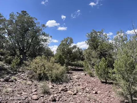 89 Als Way, Ash Fork, AZ 86320 photo 10