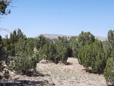 lot685 W Medicine Man Trl, Seligman, AZ 86337