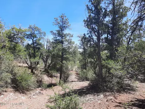 lot130 Forest Acres, Seligman, AZ 86337