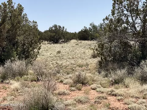 4368 E Parkway Dr, Williams, AZ 86046 photo 6