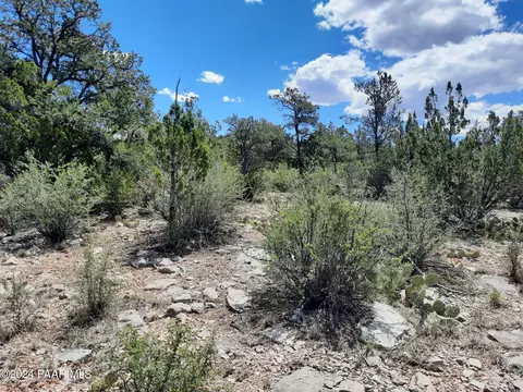 lot235 Forest Acres, Seligman, AZ 86337