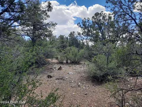 lot236 Forest Acres, Seligman, AZ 86337