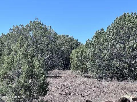 486 Off Edwards Ranch Rd, Williams, AZ 86046