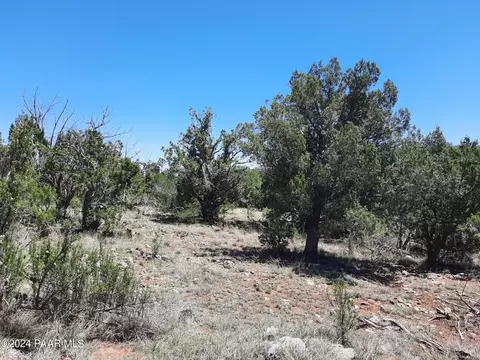 lot1404 E N Bad Dog Rd, Seligman, AZ 86337