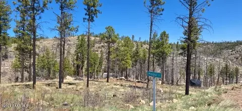 2 Moqui Dr, Happy Jack, AZ 86024