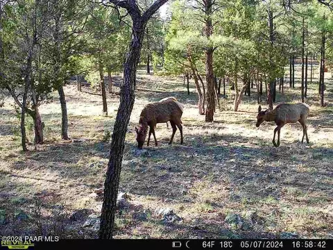 5721 Bald Eagle Way, Happy Jack, AZ 86024