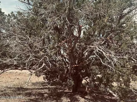 lot43 NW Tides Trl, Ash Fork, AZ 86320