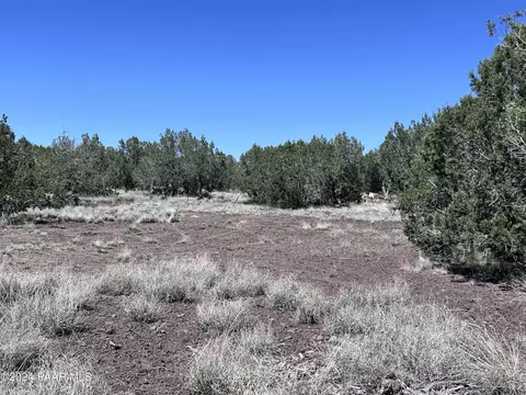 137 W Lee Dr, Ash Fork, AZ 86320 photo 4