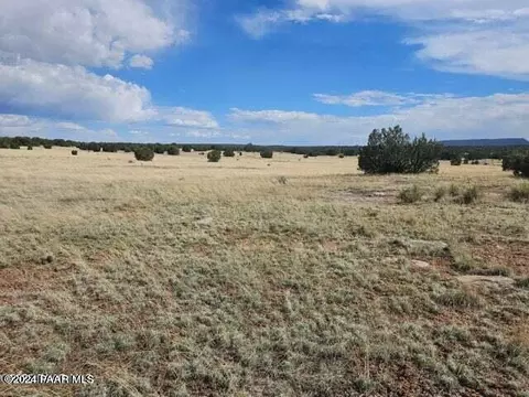 55063 N Campana Cir, Seligman, AZ 86337