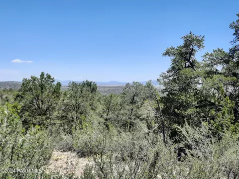 lot219 Forest Acres, Seligman, AZ 86337