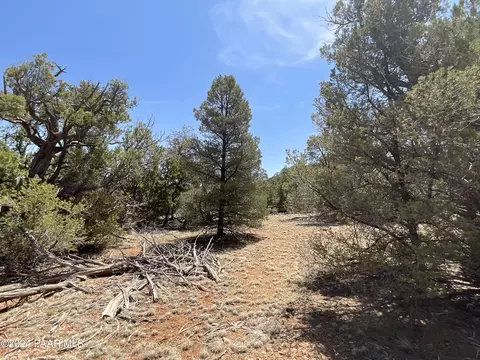 Lot 994 Proud Juniper, Seligman, AZ 86337