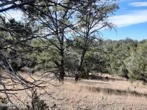 31790 W La Gatito Ln, Seligman, AZ 86337