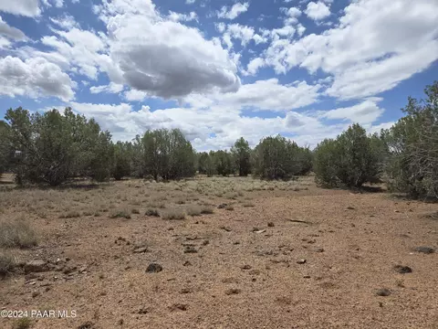 354 Off Haywire, Ash Fork, AZ 86320 photo 19