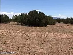 lot84 Juniperwood Rnch, Ash Fork, AZ 86320