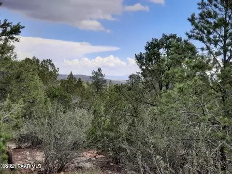 lot213 Forest Acres, Seligman, AZ 86337