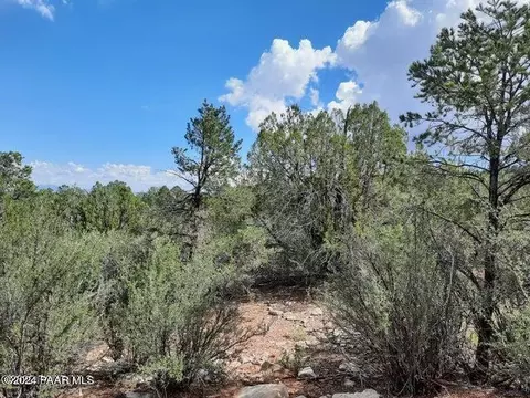 lot287 Forest Acres, Seligman, AZ 86337