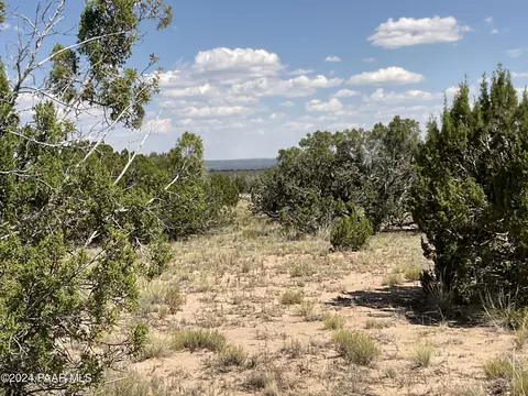 tbd Hwy 191, Saint Johns, AZ 85936