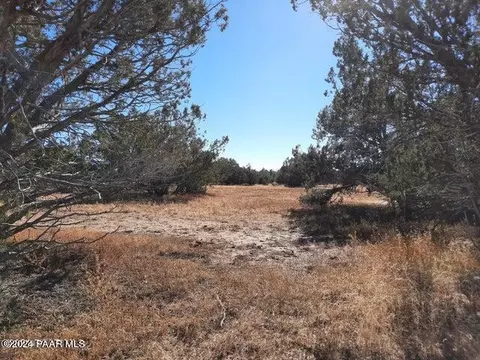 Lot 564a Caliente Winds Way, Seligman, AZ 86337