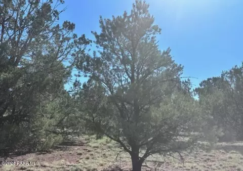 1434 E Barbara Rd, Williams, AZ 86046 photo 2